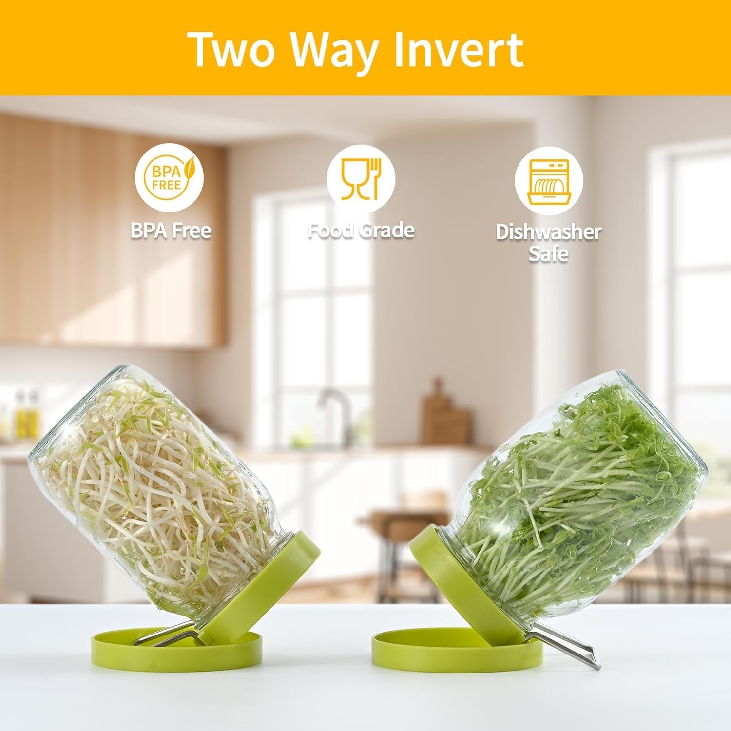 Sprouting Kit with 2 Sprout Screens, Alfalfa Seeds, Broccoli Seeds w/ Directions