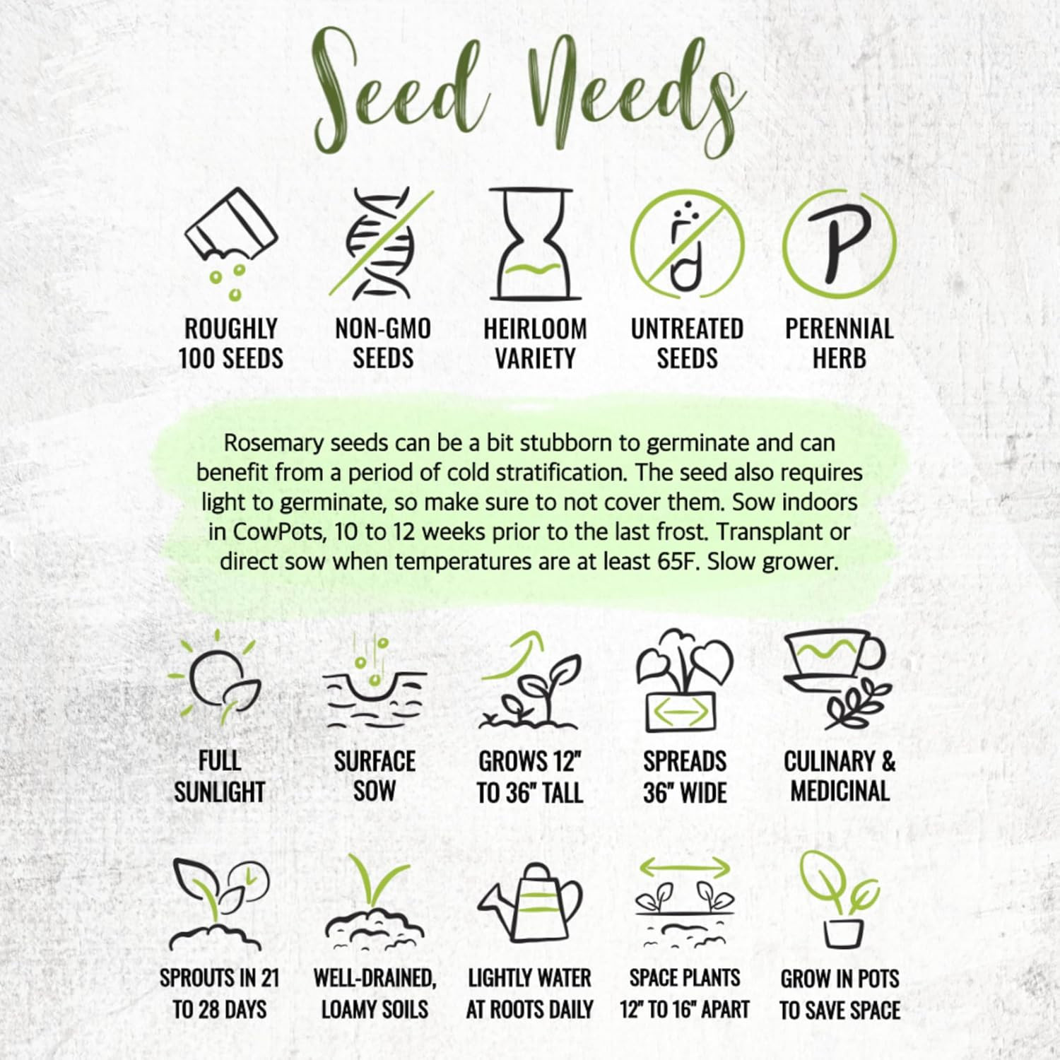 Seed Needs Rosemary Seeds for Planting – Non-Gmo Heirloom & Untreated Perennial