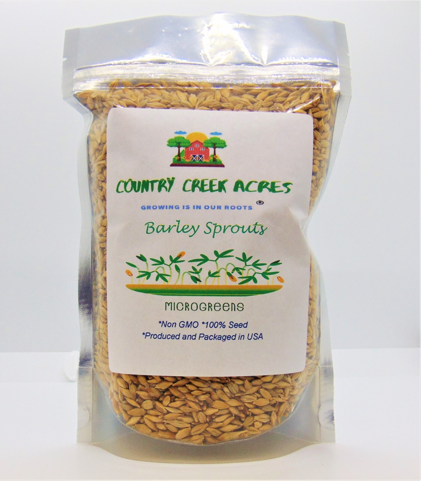 8 oz Barley – NON GMO microgreen seeds for Sprouting Sprouts