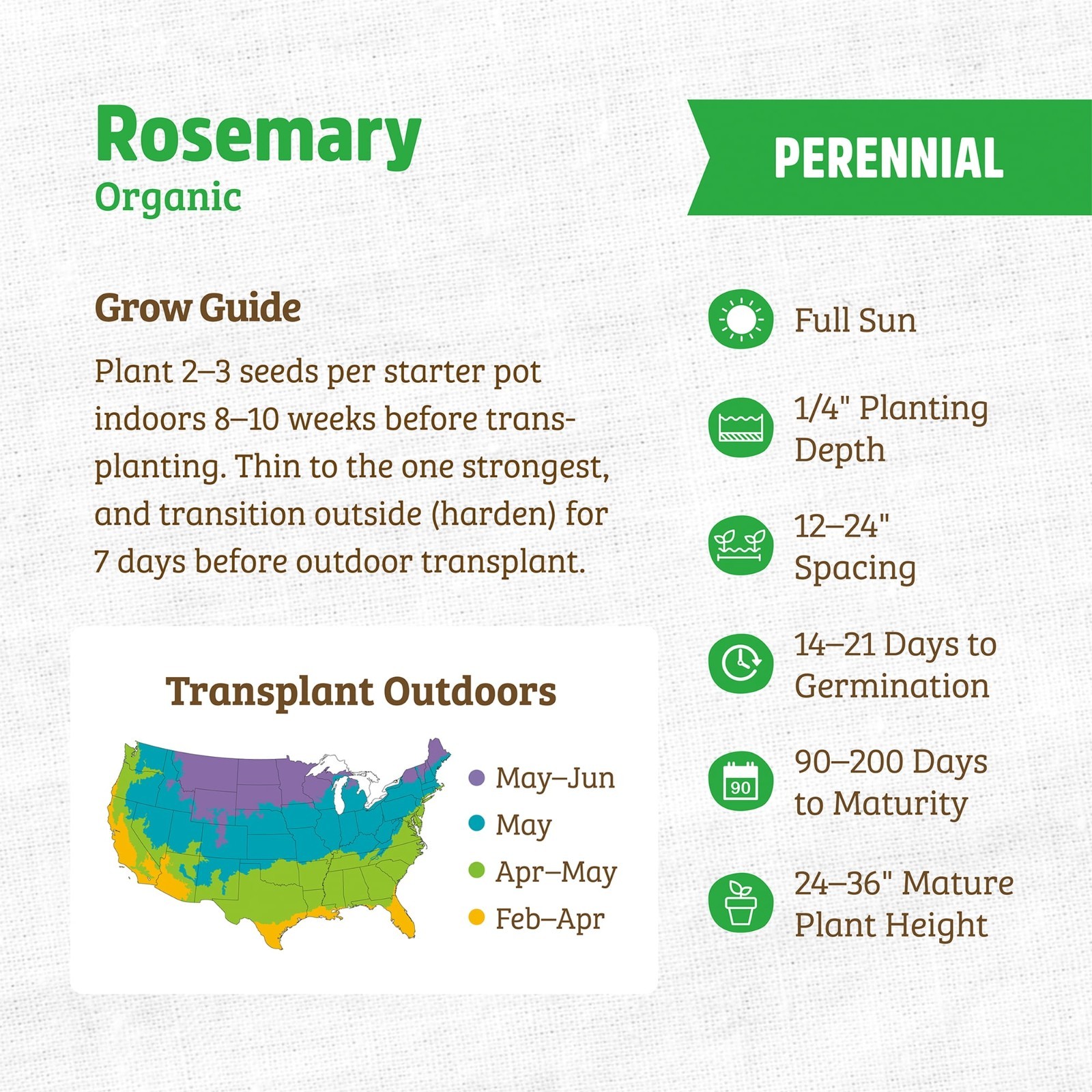 Back to the Roots Organic Rosemary Seeds, Perennial