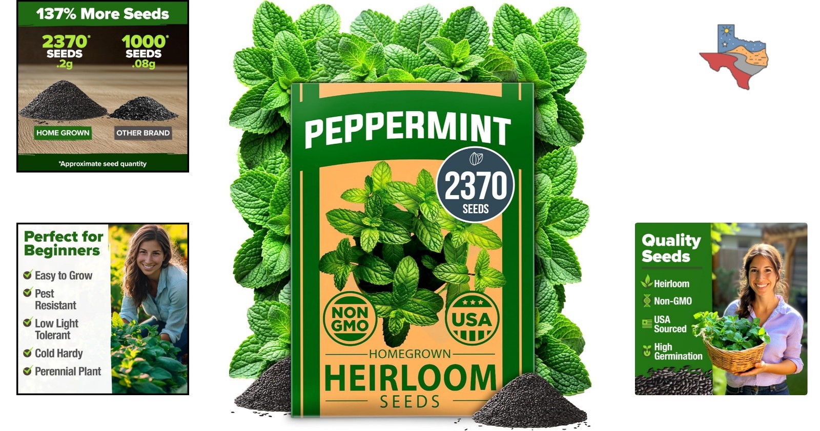 Heirloom Peppermint Seeds – 2,370 High Germination Indoor/Outdoor Herb Seeds