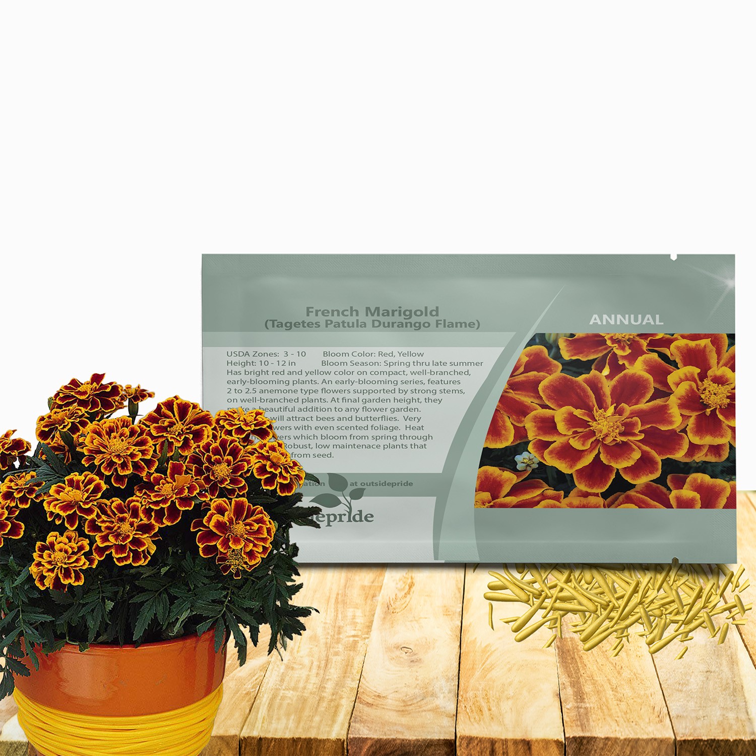 500 Seeds French Marigold Tagetes Patula Durango Flame Flower Seeds