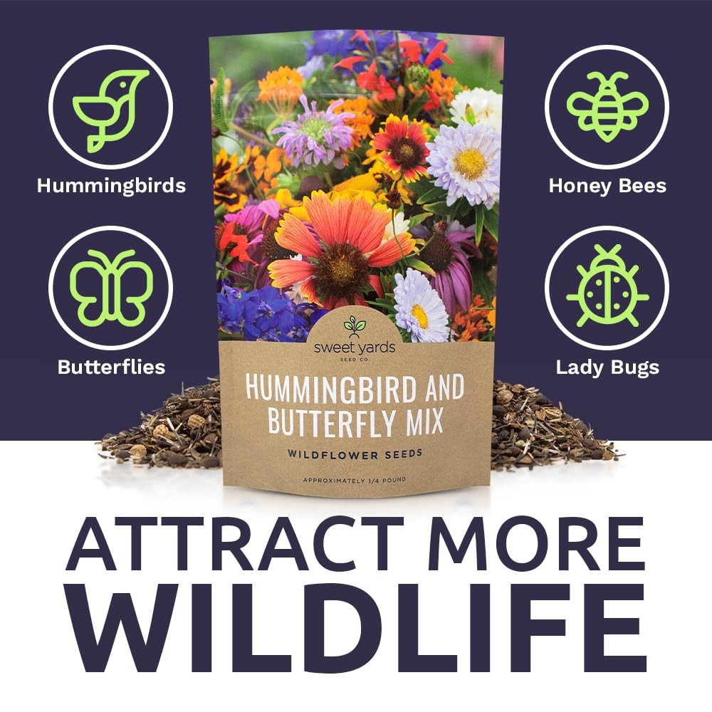 Bulk Wildflower Seeds Butterfly and Humming Bird Mix 1/4 Pound Bag Over 30,…