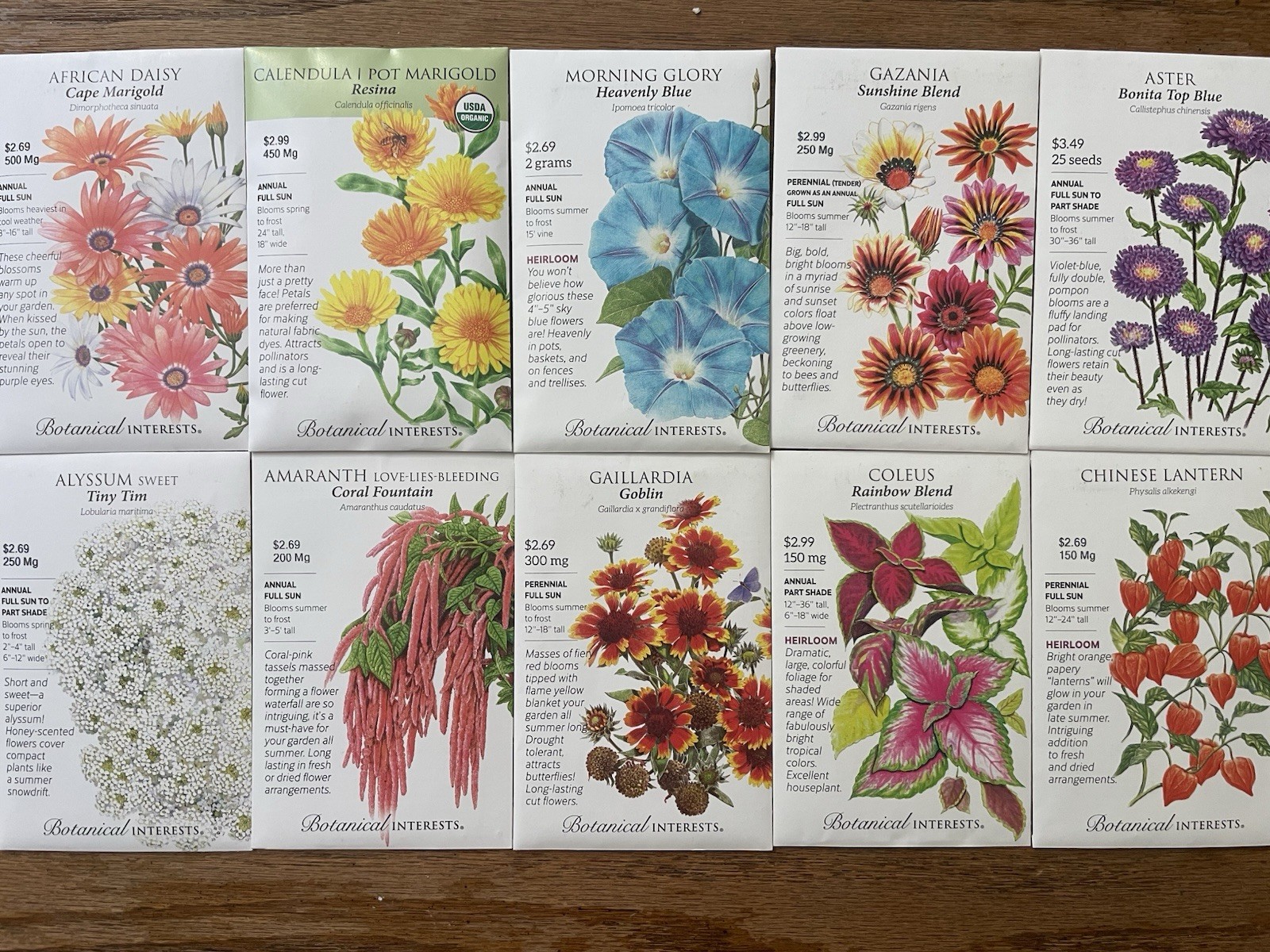 LOT 10 Packs Flower Seeds Blue Morning Glory AfricanDaisy Aster Alyssum Marigold