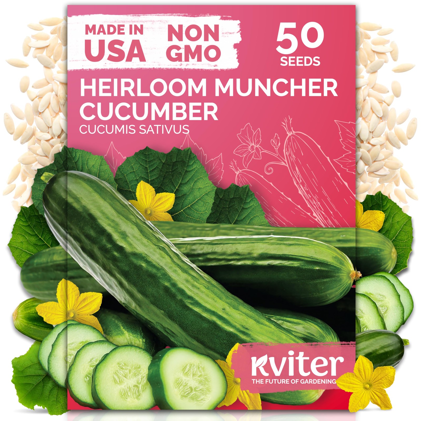 KVITER 50 Muncher Cucumber seeds (Cucumis sativus)