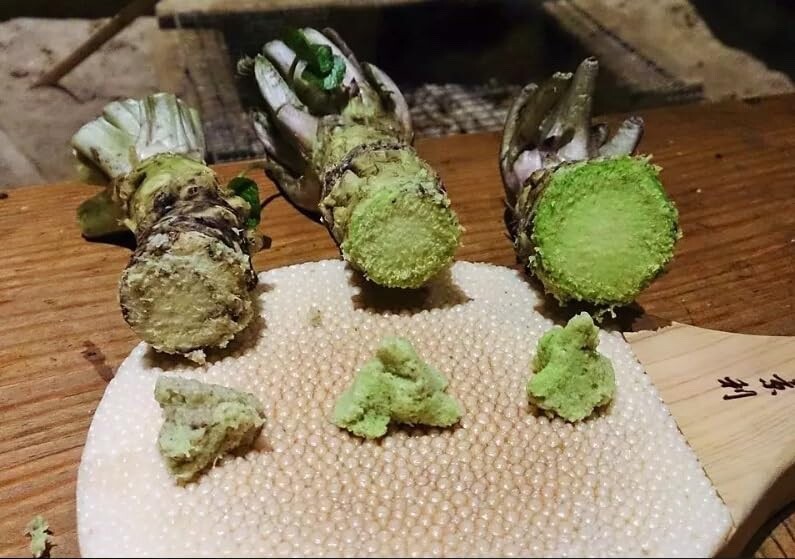 5 Japanese Wasabi Root Seeds for Planting – Wasabia japonica