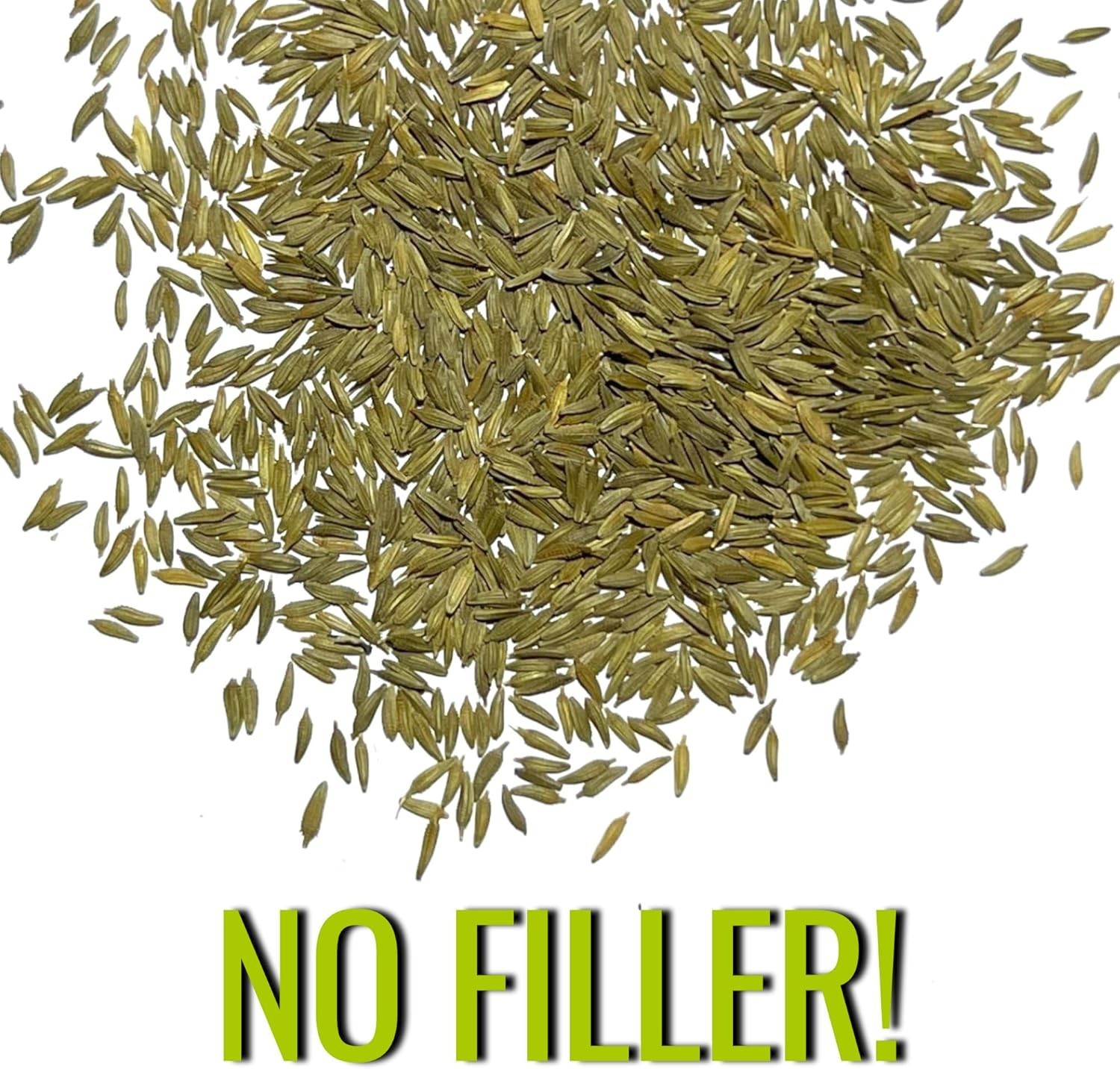 Heirloom Dandelion Seeds for Home Garden – 30,000 Non-GMO Seeds for All Zones