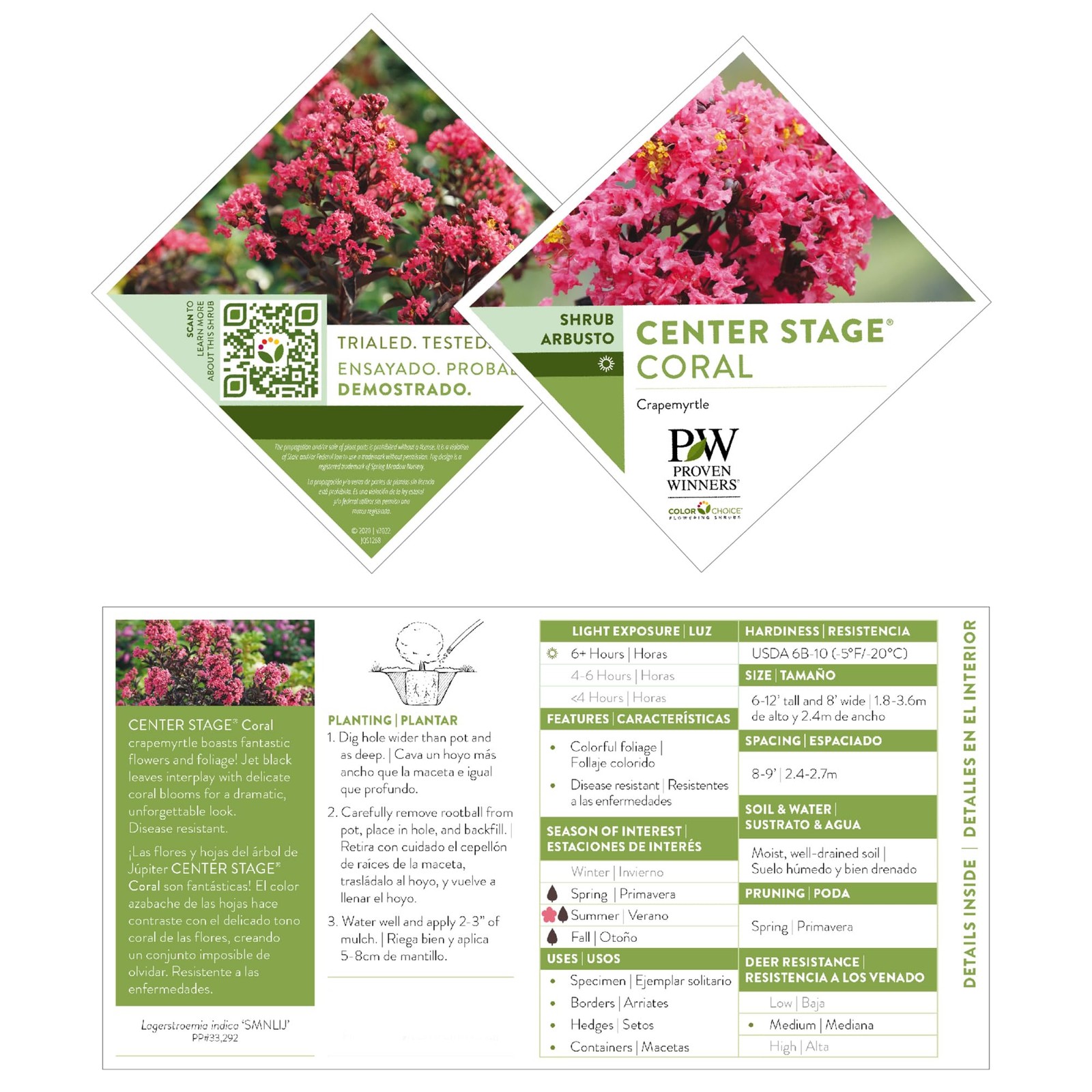 Coral Crape Myrtle Shrub 2 Gal. Center Stage for Vibrant Landscape Growth