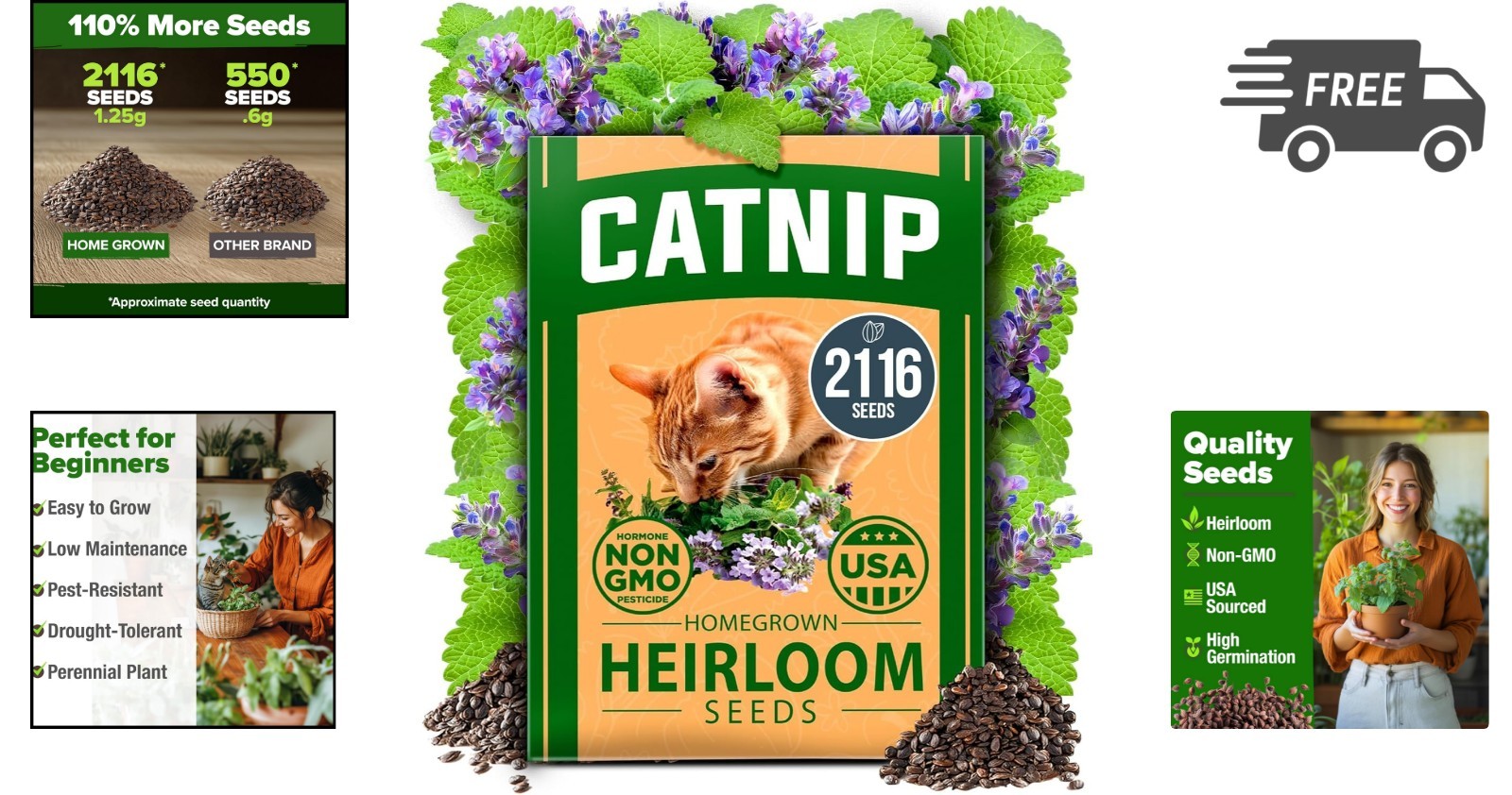 Catnip Seeds Bulk Pack Heirloom Non GMO Indoor Outdoor Herb 2116 Seeds