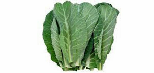 COLLARD GREENS SEED, GEORGIA SOUTHERN, HEIRLOOM, NON GMO ,20+ SEEDS
