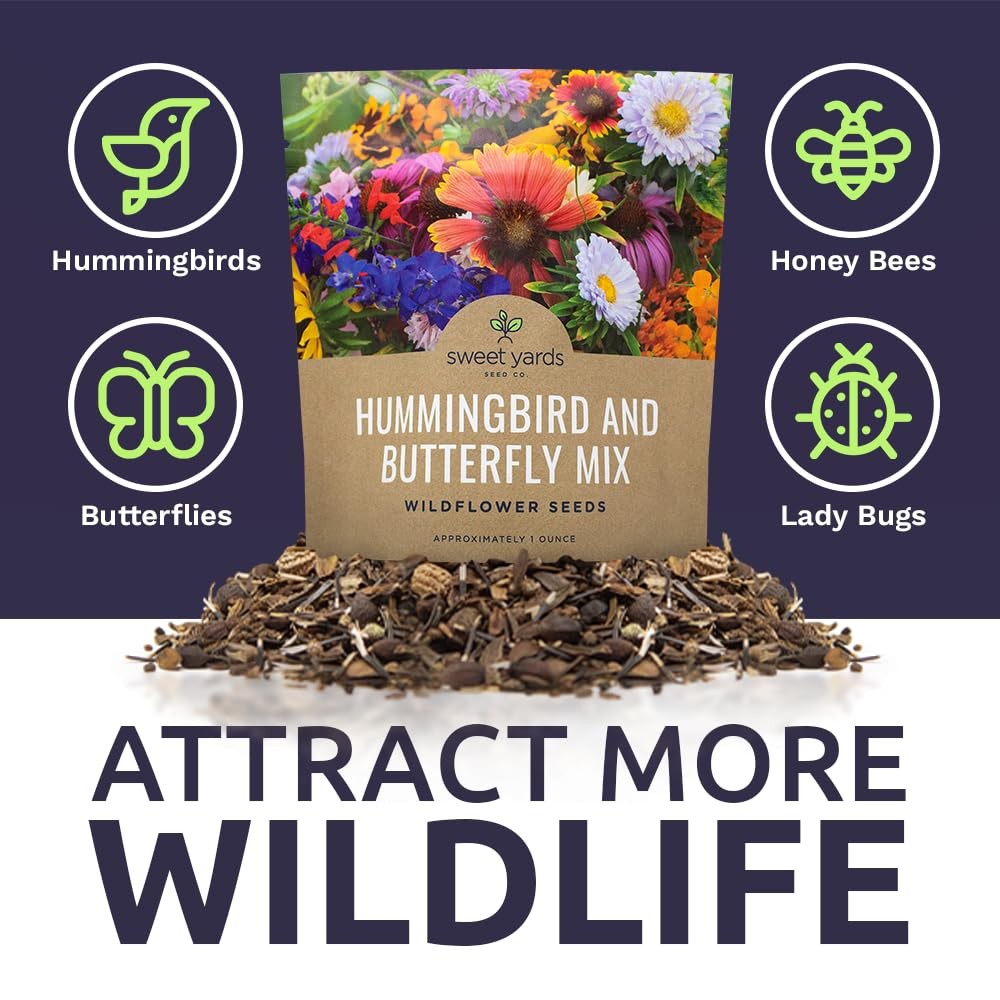 Wildflower Seeds Butterfly Hummingbird Mix 1 Ounce 7500+ Annual Perennial