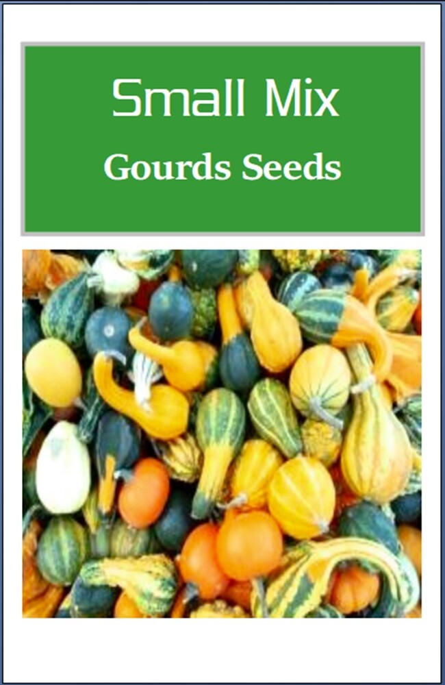 Small Mix Gourds Seeds | NON-GMO | Heirloom | Fresh Garden Seeds