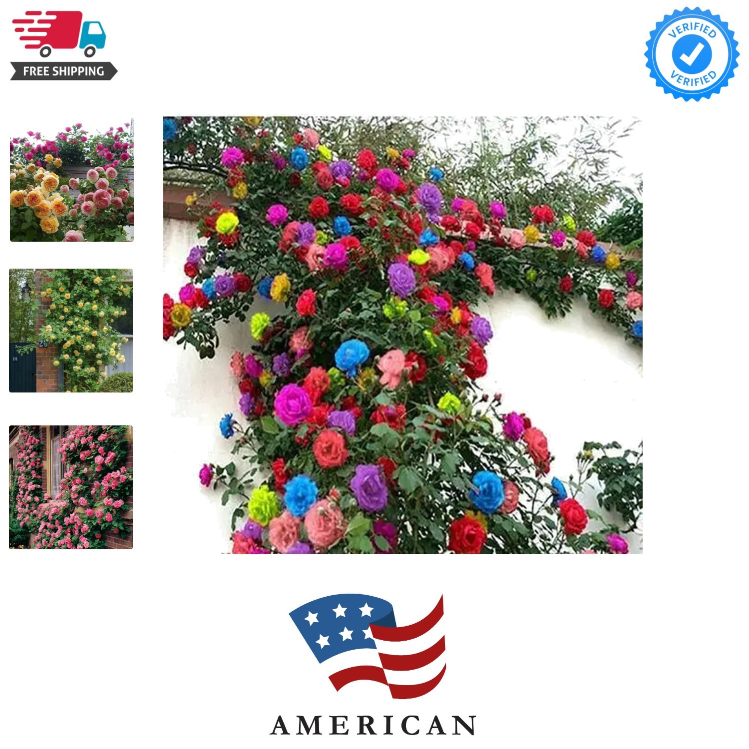 200+ Mix Climbing Rose Seeds for Planting Outdoors Ornamental Climbing Flower…