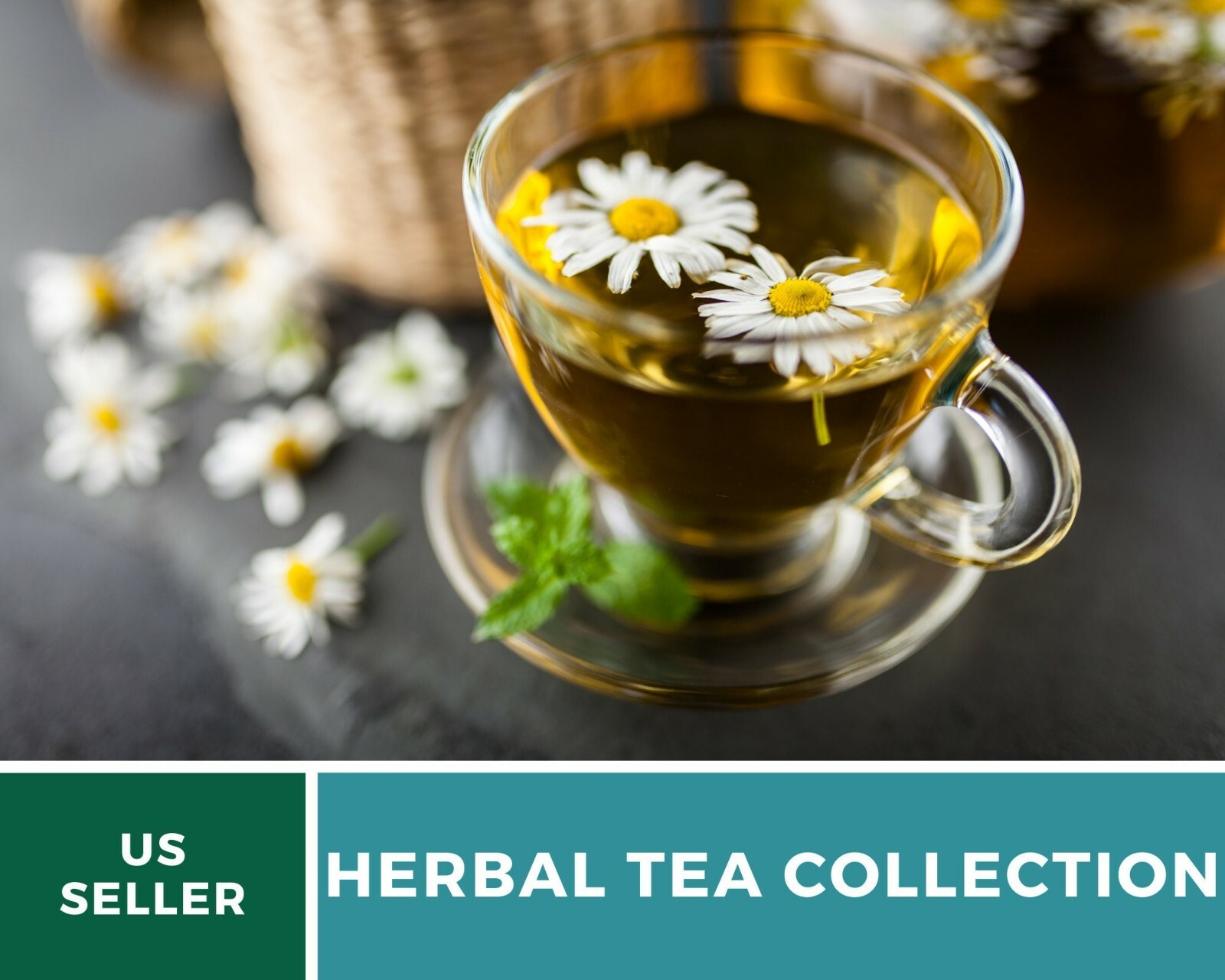 Herbal Tea Seed Collection – 6 Essential Herbs – Non-GMO