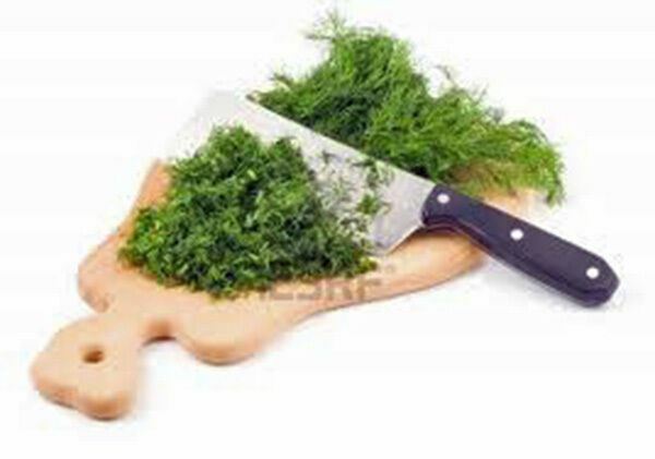 DILL SEED, MAMMOTH LONG ISLAND, HEIRLOOM, NON GMO, 50+ SEEDS, SPICE
