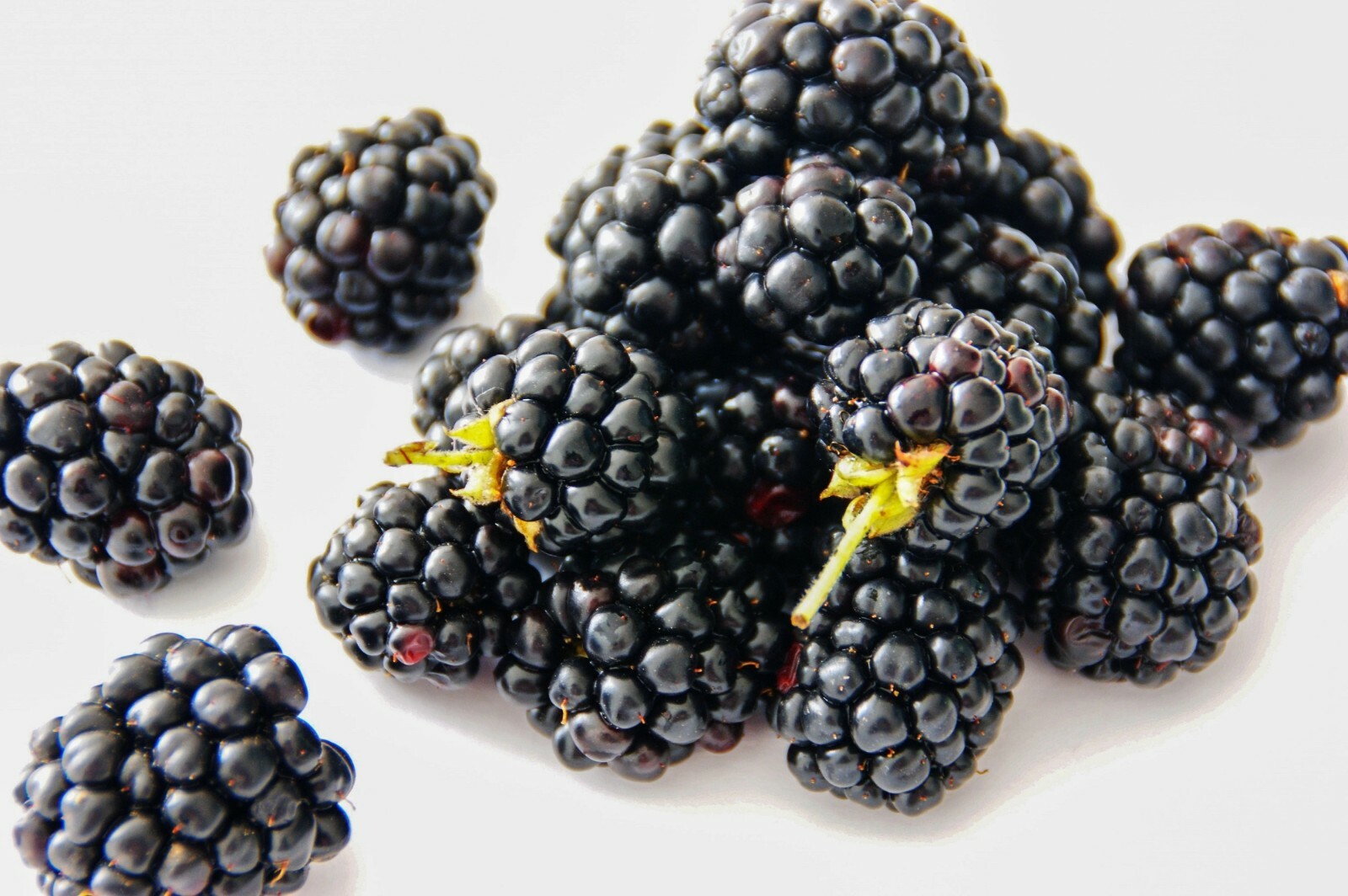 Boysenberry plant, 6-12″ tall, 1 year old well rooted plant.
