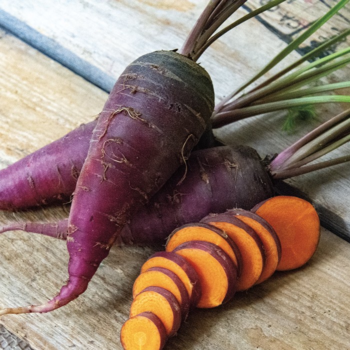Purple Dragon Carrot Seeds 150+ Vegetable Garden NON-GMO USA FREE SHIPPING