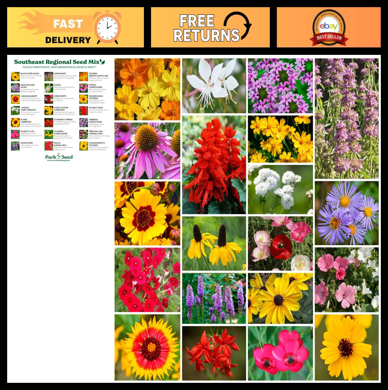 Vibrant Wildflower Garden Seeds Mix – Easy Grow Annual & Perennial for Pollinato