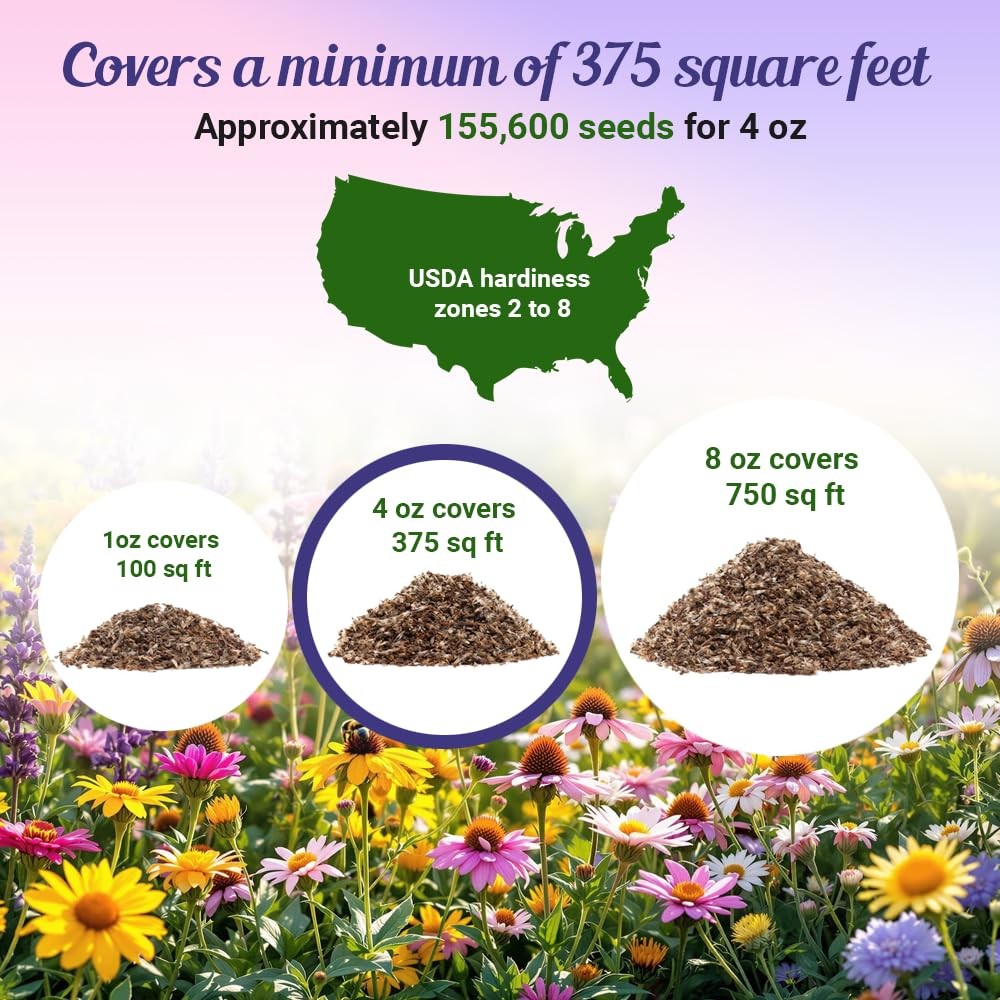 Partial Shade Wildflower Seeds Mix 4oz OpenPollinated Annual & Perennial