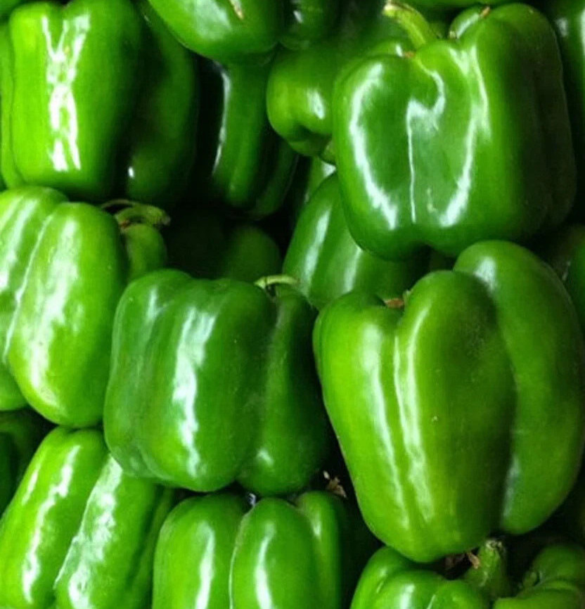 GREEN BELL PEPPER SEEDS 50+ KEYSTONE RESISTANT GIANT sweet CAPISCUM ANUUM