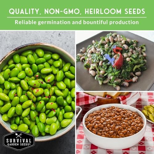 Dry Bean Seeds for Planting – 5 Heirloom Protein Varieties for Shelling &