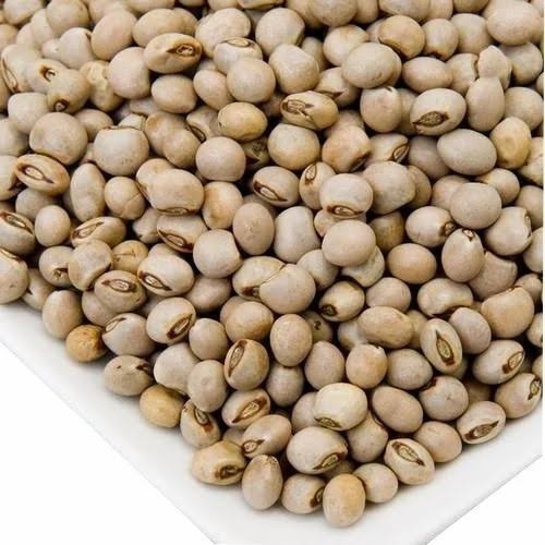 200 Pigeon Peas Seeds, Gandules, cajanus cajan, NON-GMO, Free Shipping