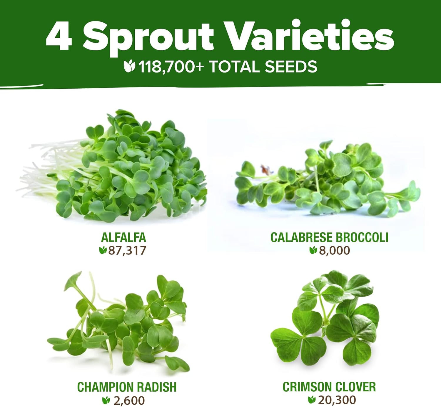 Premium Non-GMO Sprouting Seeds Mix 118,200+ Seeds Microgreens 4 Variety Blend B