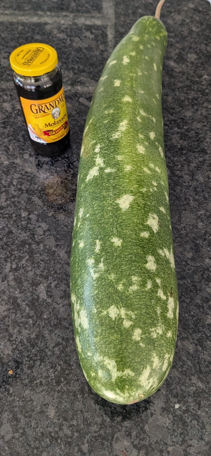 20🥒 Vietnamese Long Bottle Gourd Seeds – Bầu Sao Trái Dài – 2025🌿