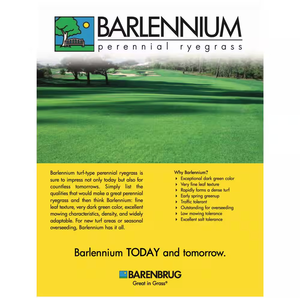 50 Lbs. Barlennium Perennial Ryegrass Seed