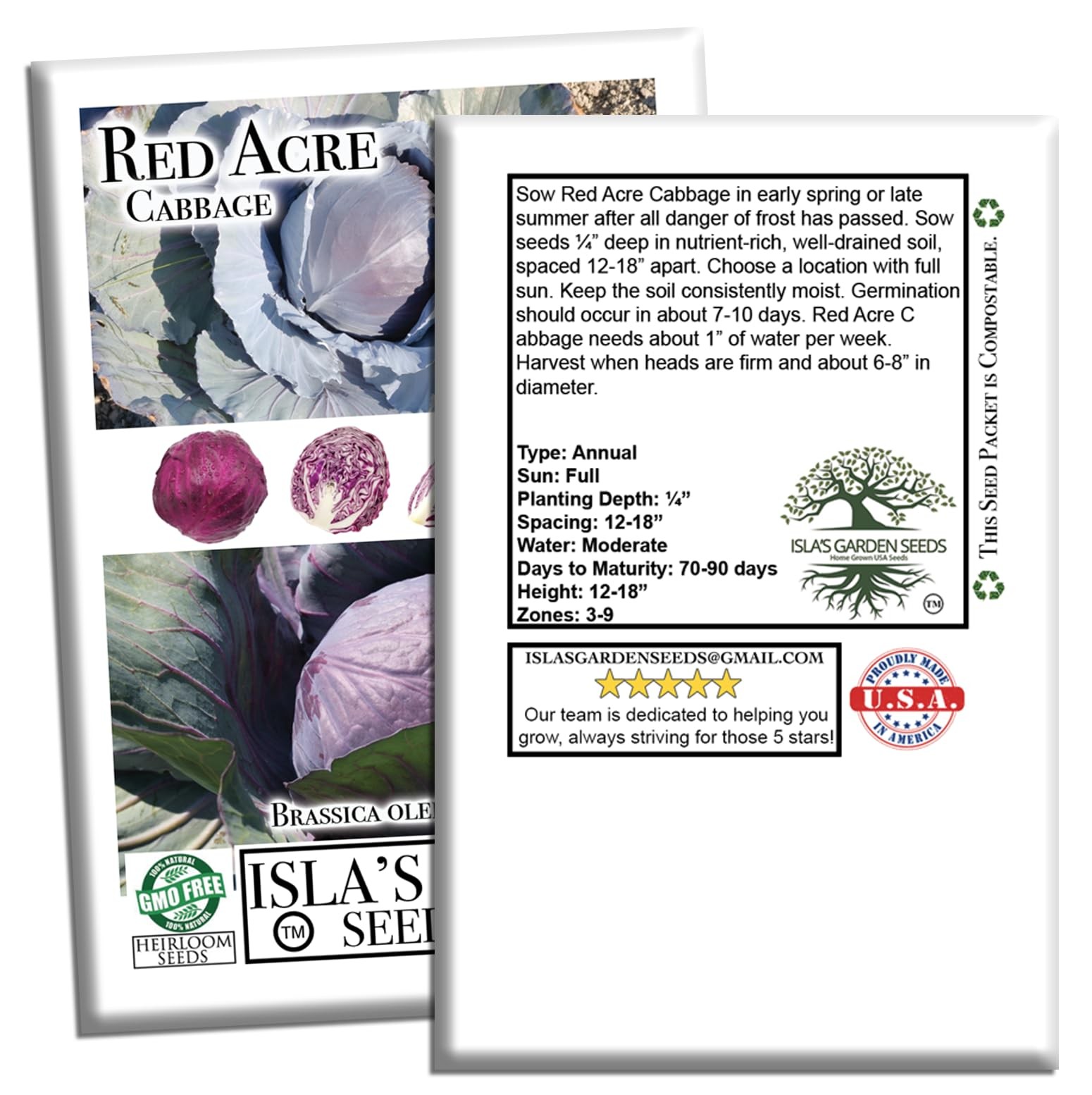 Red Acre Cabbage Seeds (Brassica oleracea var. capitata f. rubra) – 250+ Non-…