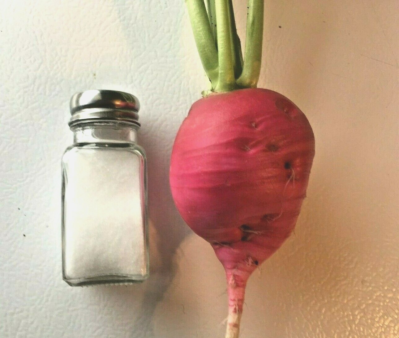 301+GERMAN GIANT RADISH Seeds Organic Heirloom Vegetable Mild Garden Container