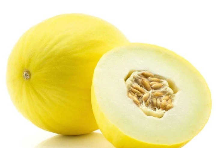 Golden 51 Delicious Cantaloupe Melon 20 – 100 Seeds Heirloom Heat tolerant! OP
