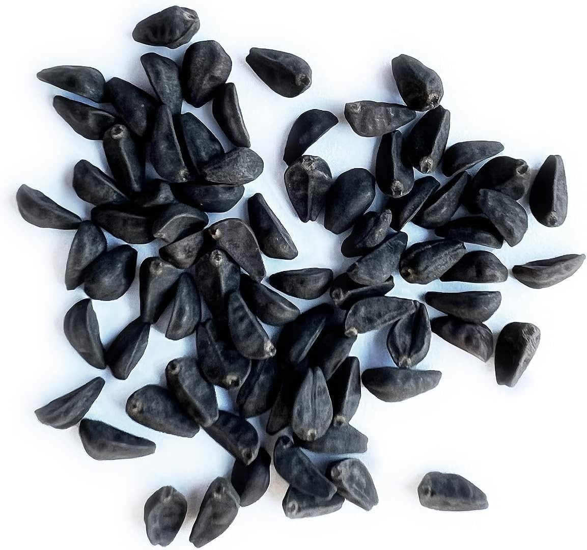 Non-GMO Morning Glory Seeds – 60 Open Pollinated Flowers for Full Sun