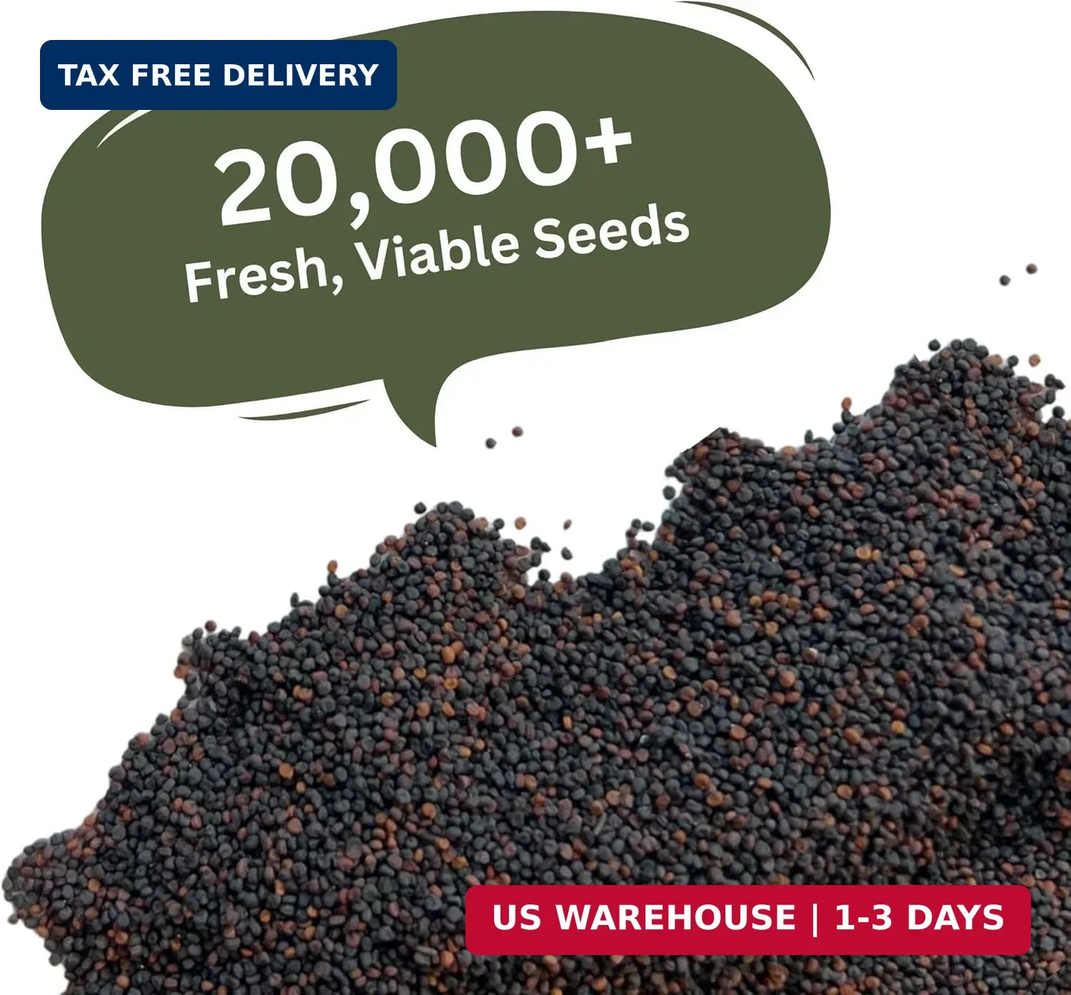 Baby’s Breath Seeds – 20,000+ Seeds – 1 oz Bulk Resealable Packet – Quick Bloomi