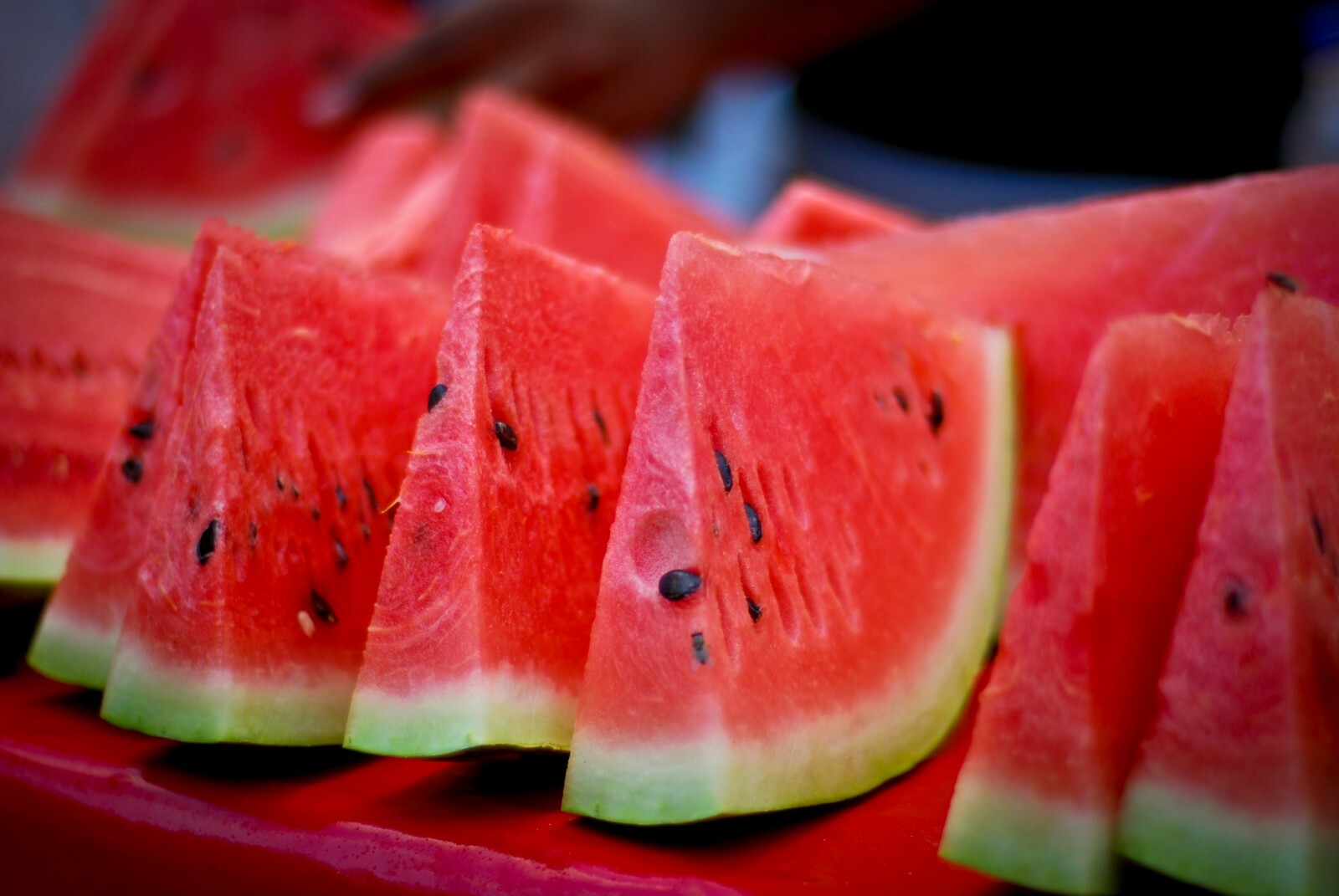50 Crimson Sweet Watermelon Seeds – Up to 25lb Melons! – AAS Winner!