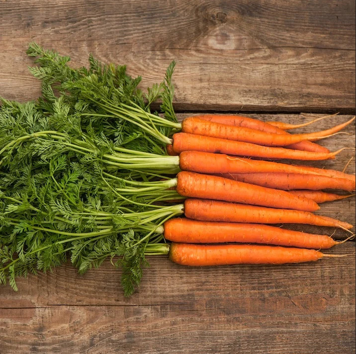 Carrot Seeds – Scarlet Nante vegetable GARDEN culinary SOUPS FREE SHIPPING