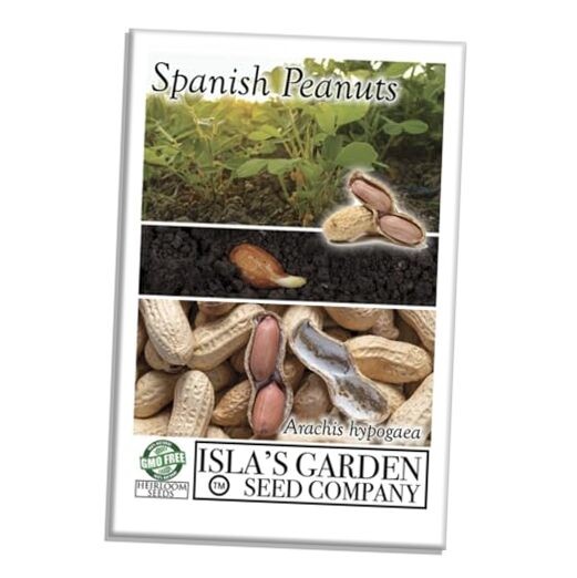 Spanish Peanut Seeds (Arachis hypogaea) – 20 Non-GMO Heirloom by Isla’s Garden