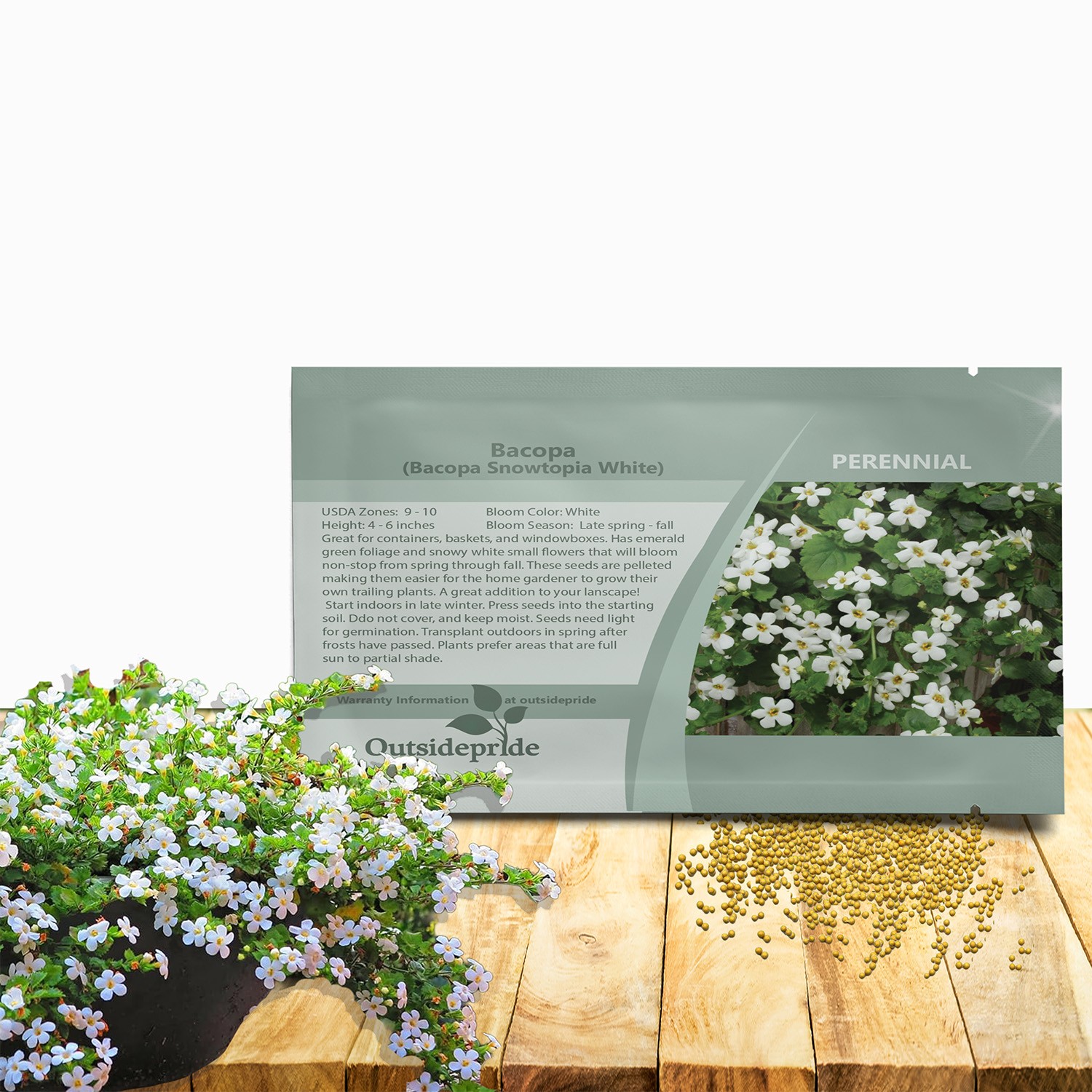 10 Seeds Bacopa Snowtopia Seeds – White Bacopa Flower Seeds