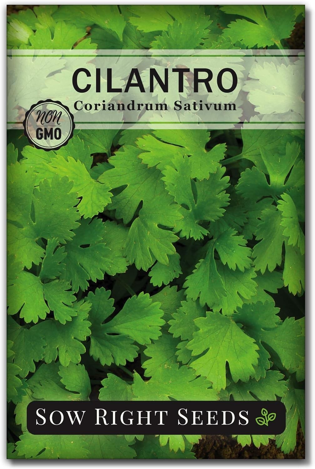 Cilantro Seeds for Planting – Non-GMO Heirloom Packet with Instructions to Gr…
