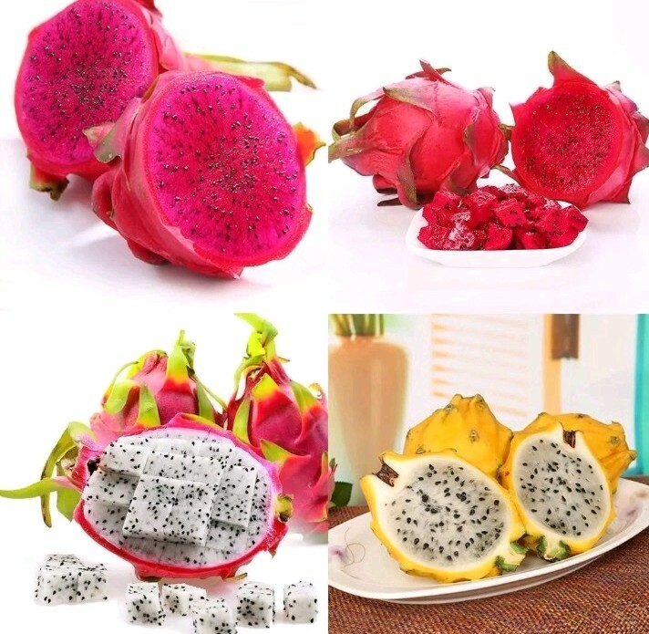 100 seeds Dragon fruit pitaya seeds mix 4 kinds yellow, red, white, purple