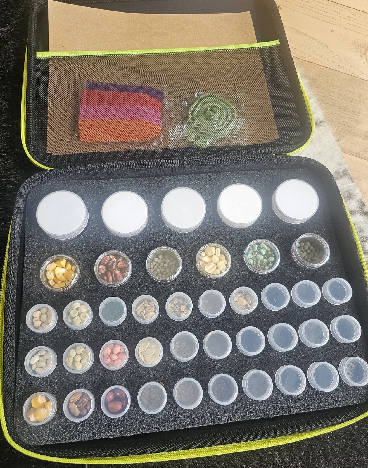 Heirloom Seeds Giant Set 41 Piece.