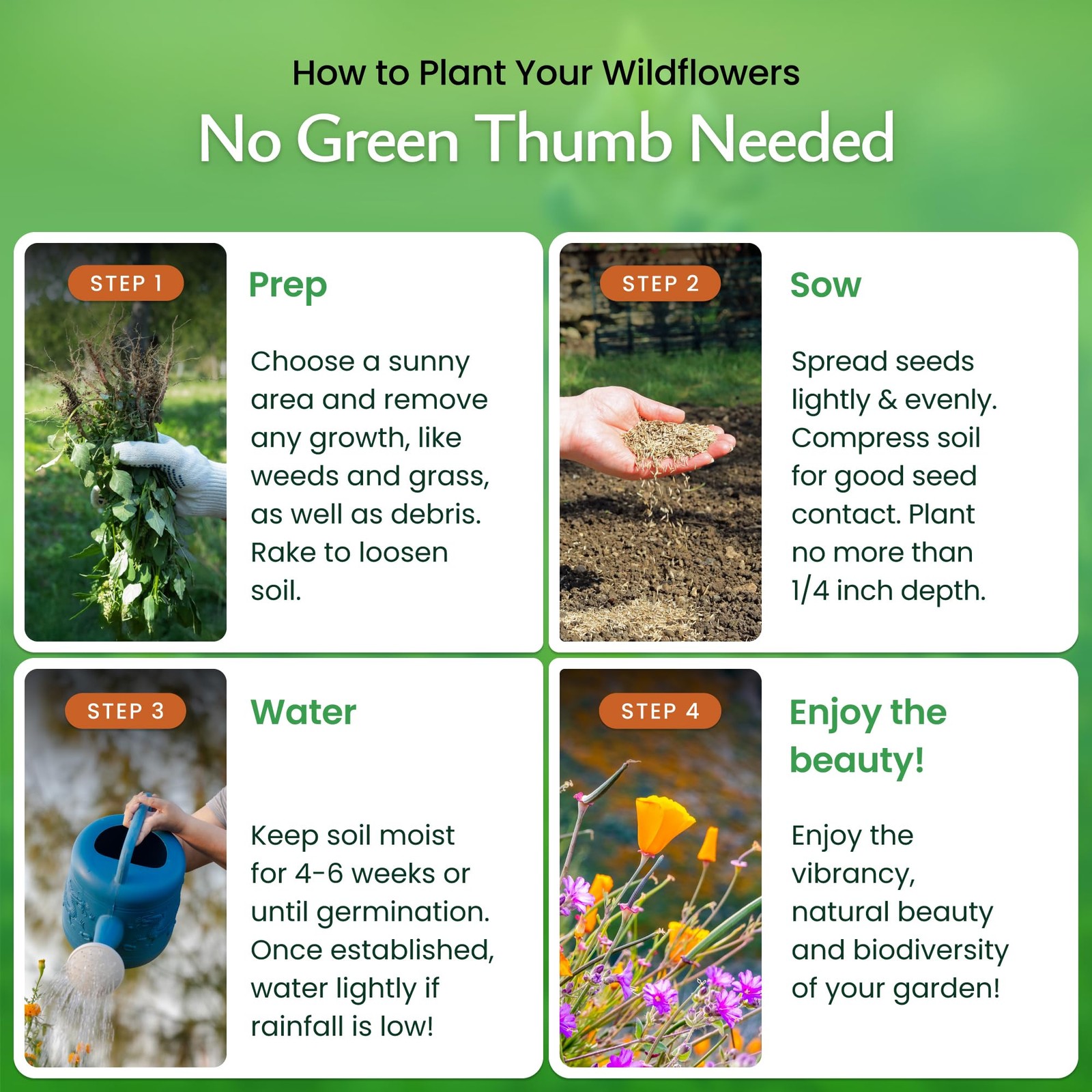 Nevada Wildflower Seed Mix, 14 Flower Varieties, 30,000 Seeds