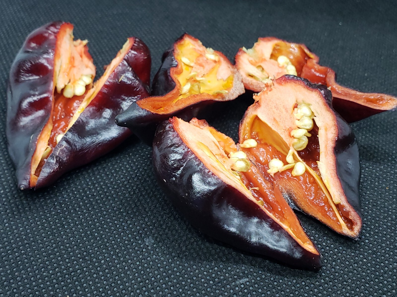 7 Pot Purple Bubblegum Super Hot Pepper Seeds! Black 7BBG Dark Foliage -Tracking