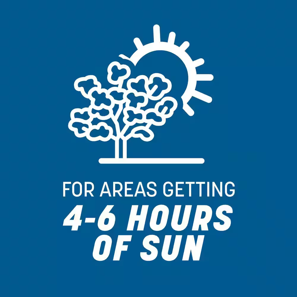 Rebels 40 Lbs. 13,320 Sq. Ft. Sun and Shade Grass Seed Blend