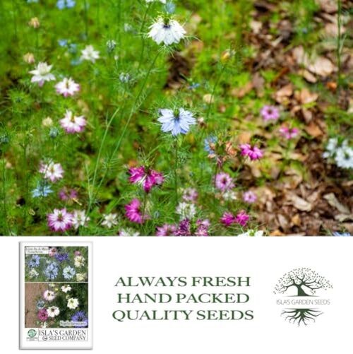 Love-in-a-Mist Mix Flower Seeds (Nigella damascena) – 200+ Non-GMO & Heirloom