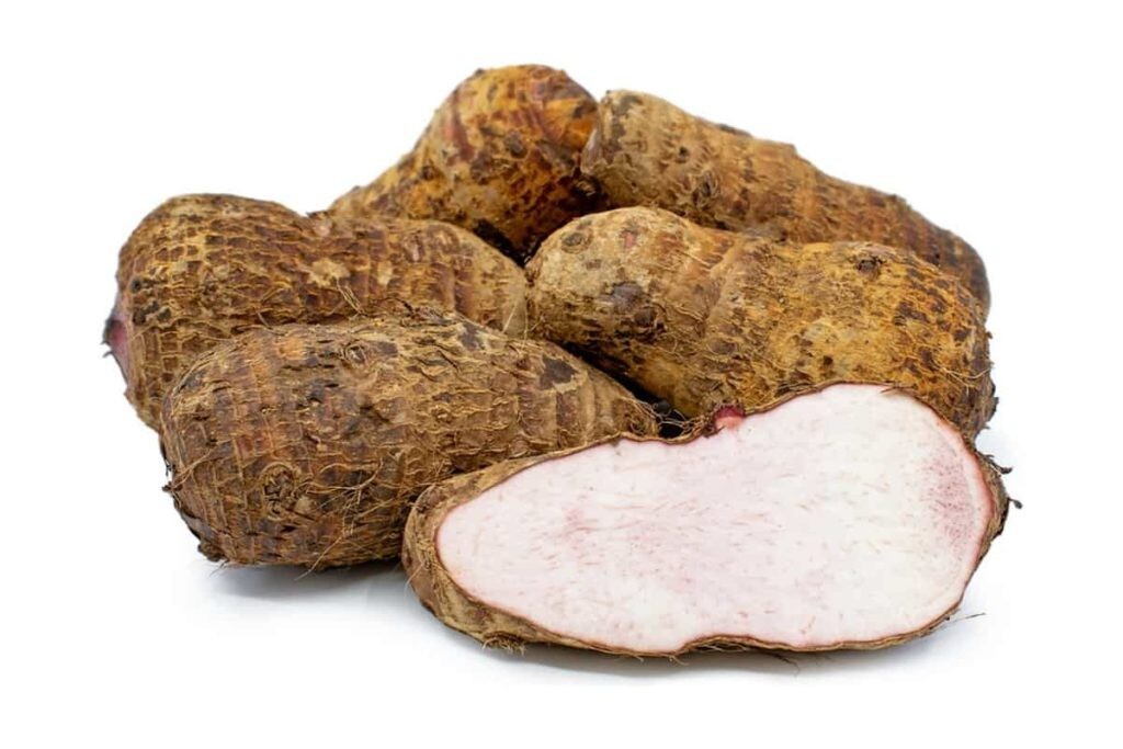 Taro Root, can be used as a starchy vegetable or perennial Elephant Ear plant.