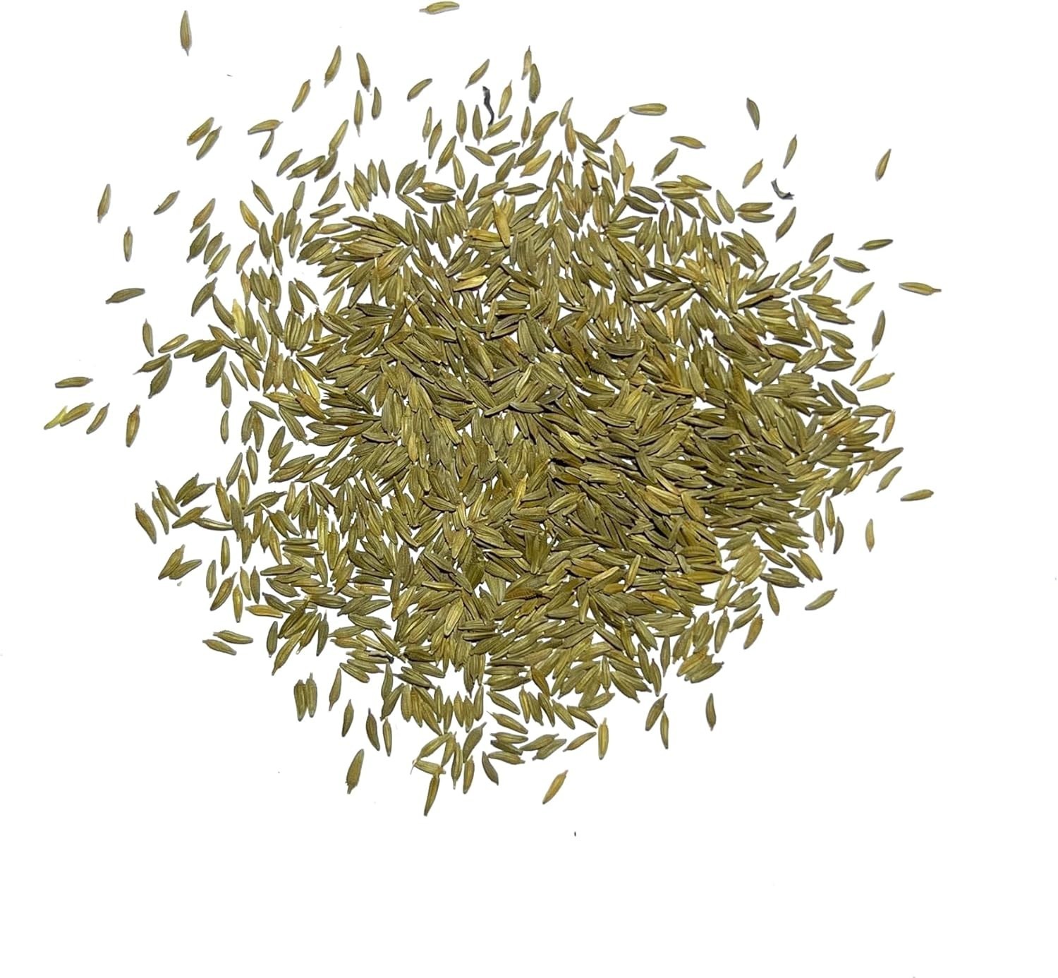 Dandelion Seeds for Planting – Heirloom, Non-GMO & Pet-Friendly Greens – 1 Pack