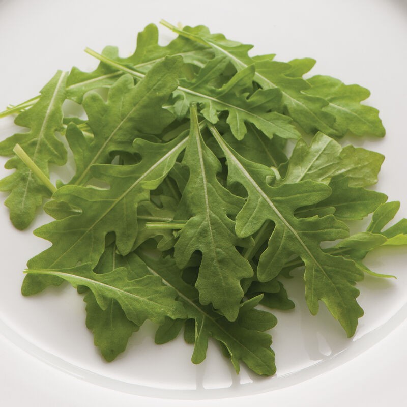 200 Roquette Arugula Seeds | Heirloom / Non-GMO | Free Shipping &Tracking