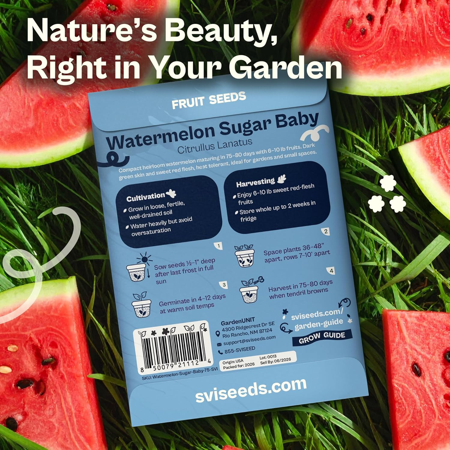 75 Sugar Baby Watermelon Seeds for Planting (Citrullus Lanatus) – Sweet Watermel