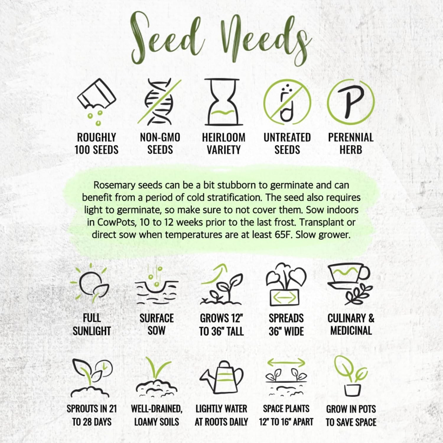 Heirloom Rosemary Seeds – Non-GMO with Medicinal & Culinary Benefits, 100 Seeds